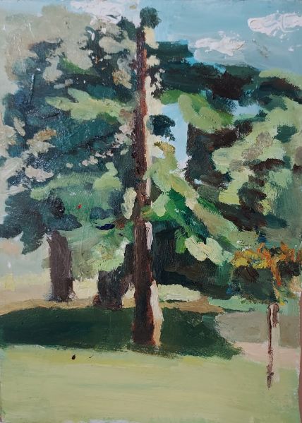 File:20260215 231335.jpg